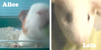 Photo of Alice and Lola