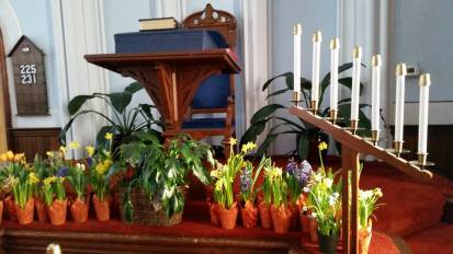 easter plants in church